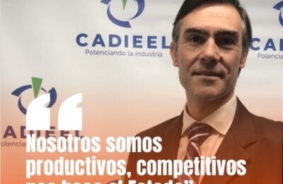 José Tamborenea, presidente de CADIEEL: «Los impuestos nos quitan competitividad»
